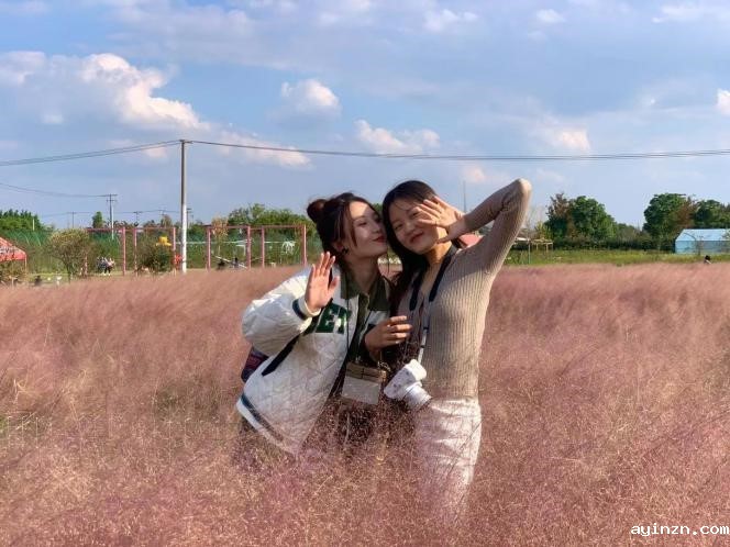 a24503b7ef31e02d7799a7fc042a9cf